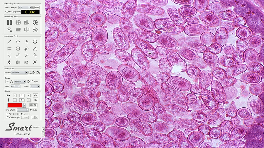 bandicam 2025-10-29 09-41-45-300.jpg